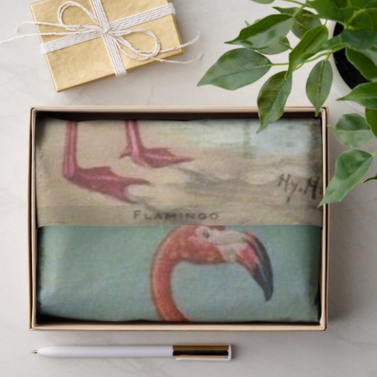 Flamingo door John Hintermeister 1908 Tissuepapier (Geschenk)