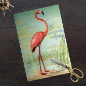 Flamingo door John Hintermeister 1908 Tissuepapier