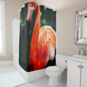 FLAMINGO DOUCHEGORDIJN (In situ)