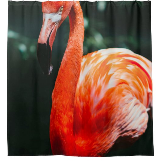FLAMINGO DOUCHEGORDIJN (Voorkant)