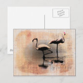 Flamingo Dreams Briefkaart (Voorkant / Achterkant)
