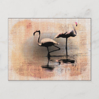 Flamingo Dreams Briefkaart