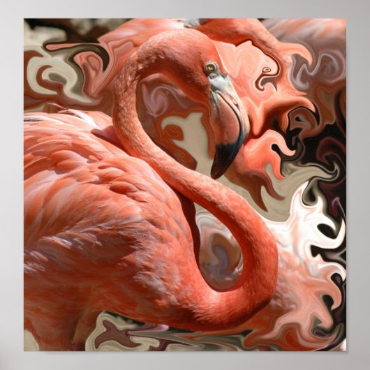 Flamingo Dreams Poster (Voorkant)
