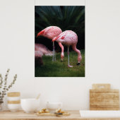 Flamingo - Een verzameling Flamingo's Poster (Keuken)