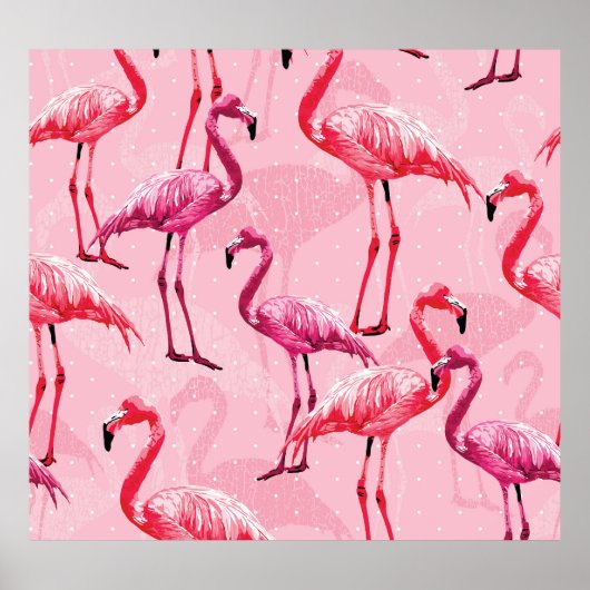 Flamingo elegantie: roze vogelpatroon. poster (Voorkant)