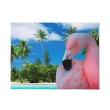 Flamingo en Beach