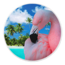 Flamingo en Beach