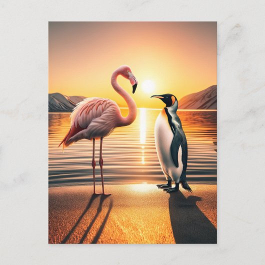 Flamingo en Pinguïn Zonsondergang Ontmoeting Briefkaart (Voorkant)