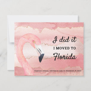 Flamingo en Pink Clouds Verhuisd naar Florida Nieu Aankondiging