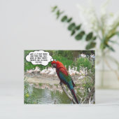 Flamingo Envy Briefkaart (Staand voorkant)