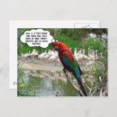 Flamingo Envy Briefkaart (Voorkant / Achterkant)