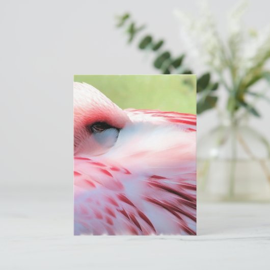 Flamingo Feathers Briefkaarten (Staand voorkant)