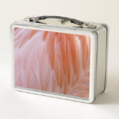 Flamingo Feathers in Shades of Pink (Achterkant)