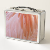 Flamingo Feathers in Shades of Pink (Voorkant)