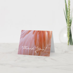 Flamingo Feathers in Shades of Pink Bedankkaart