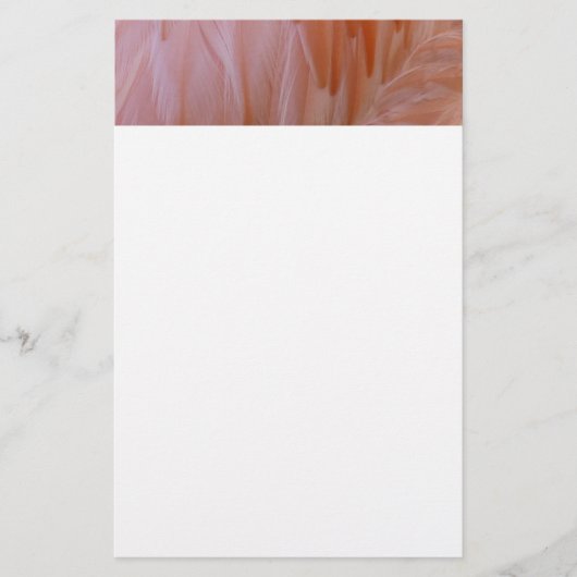 Flamingo Feathers in Shades of Pink Briefpapier (Voorkant)