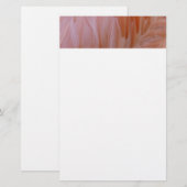 Flamingo Feathers in Shades of Pink Briefpapier (Voorkant / Achterkant)