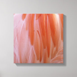 Flamingo Feathers in Shades of Pink Canvas Afdruk