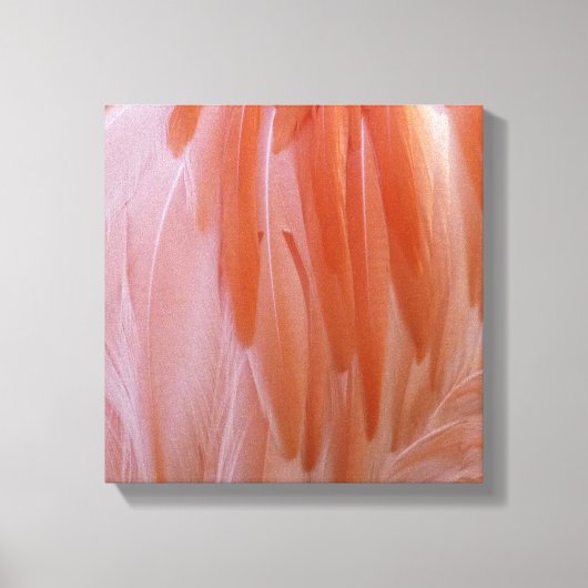Flamingo Feathers in Shades of Pink Canvas Afdruk (Voorkant)
