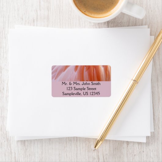 Flamingo Feathers in Shades of Pink Etiket (Insitu)