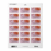 Flamingo Feathers in Shades of Pink Etiket (Full Sheet)