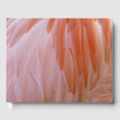 Flamingo Feathers in Shades of Pink Gastenboek (Voorkant)