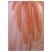 Flamingo Feathers in Shades of Pink Klembord (Achterkant)