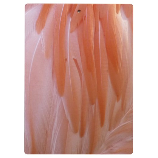 Flamingo Feathers in Shades of Pink Klembord (Achterkant)