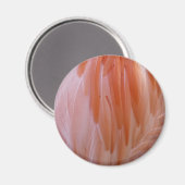 Flamingo Feathers in Shades of Pink Magneet (Voorkant / Achterkant)