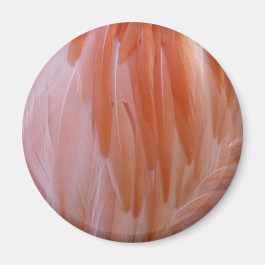 Flamingo Feathers in Shades of Pink Magneet (Voorkant)