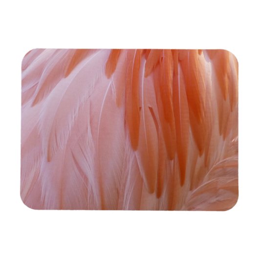 Flamingo Feathers in Shades of Pink Magneet (Horizontaal)