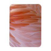 Flamingo Feathers in Shades of Pink Magneet (Verticaal)