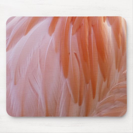 Flamingo Feathers in Shades of Pink Muismat (Voorkant)
