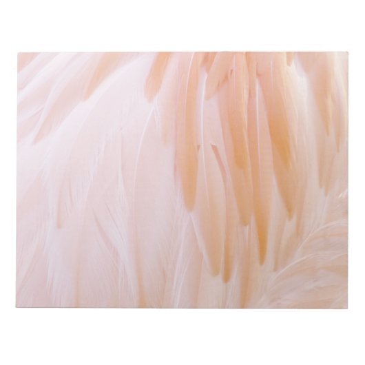 Flamingo Feathers in Shades of Pink Notitieblok (Voorkant)