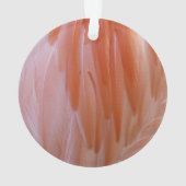 Flamingo Feathers in Shades of Pink Ornament (achterkant)