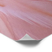 Flamingo Feathers in Shades of Pink Poster (Hoek)