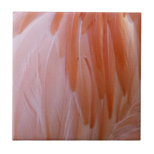 Flamingo Feathers in Shades of Pink Tegeltje