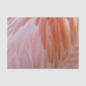 Flamingo Feathers in Shades of Pink Tissuepapier (Voorkant)