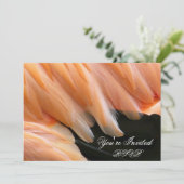 Flamingo Feathers_ Kaart (Staand voorkant)