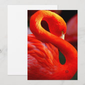 flamingo feestdagenkaart (Voorkant / Achterkant)