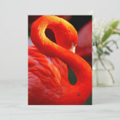 flamingo feestdagenkaart (Staand voorkant)