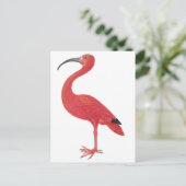 Flamingo - Fine Art Briefkaart (Staand voorkant)