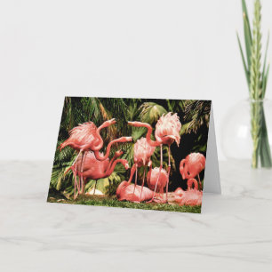 Flamingo Flamboyance Verjaardagskaart Kaart