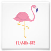 Flamingo (Flamin-Go!) Foto Afdruk (Voorkant)