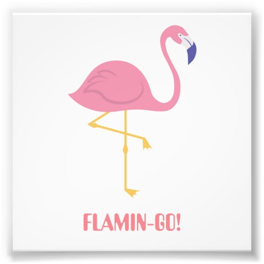 Flamingo (Flamin-Go!) Foto Afdruk (Voorkant)