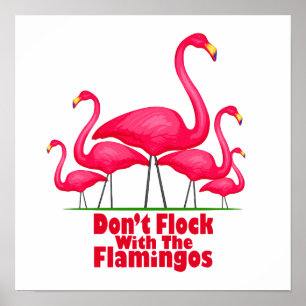 Flamingo Flamingo Poster