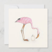Flamingo flat card kaart (Voorkant)