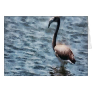 Flamingo Fledgling Waterverf