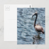 Flamingo Fledgling Waterverf Briefkaart (Voorkant / Achterkant)