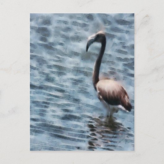 Flamingo Fledgling Waterverf Briefkaart (Voorkant)